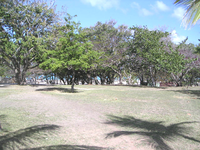 Playa Guardalavaca- Click to enlarge -