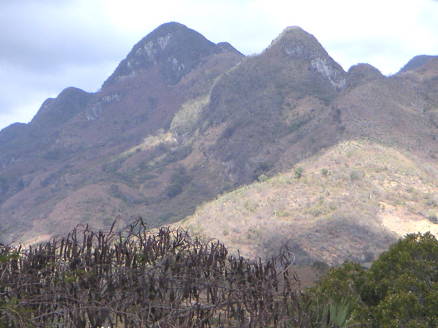 Dar Clic para ver otras Fotos del Escambray