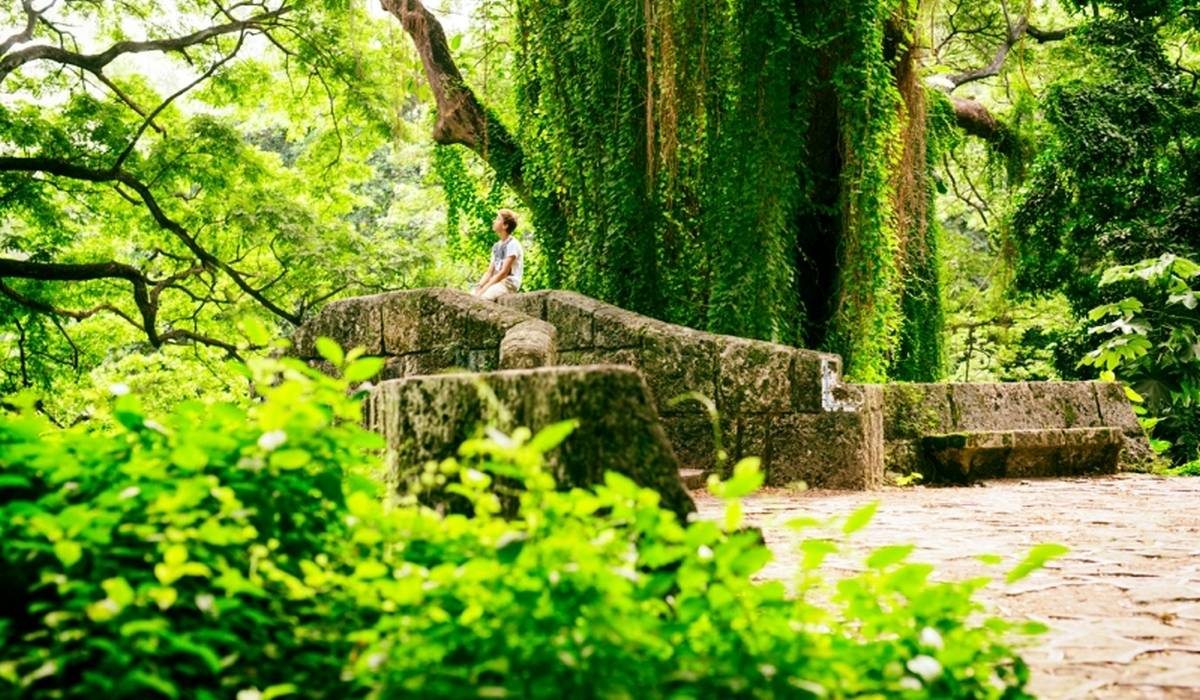 Bosque de La Habana