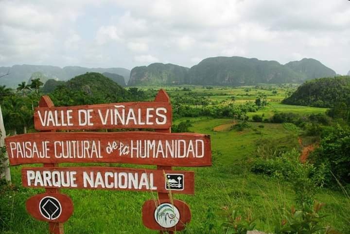 Valle de Viales