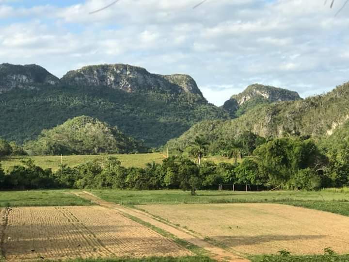 Vista de Viales